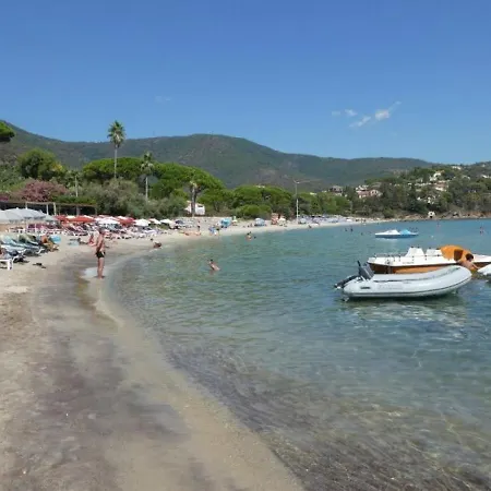 Les Pins Parasols Le Lavandou