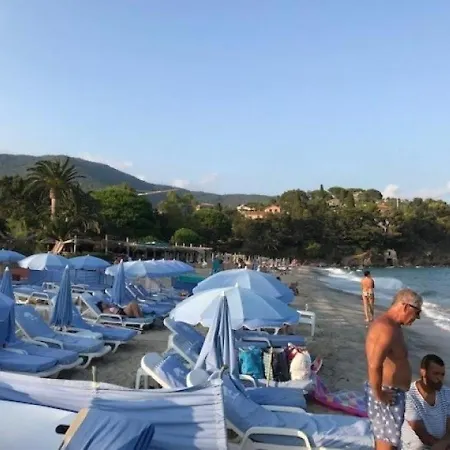 Lägenhet Les Pins Parasols