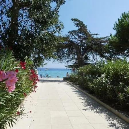 Les Pins Parasols Lägenhet